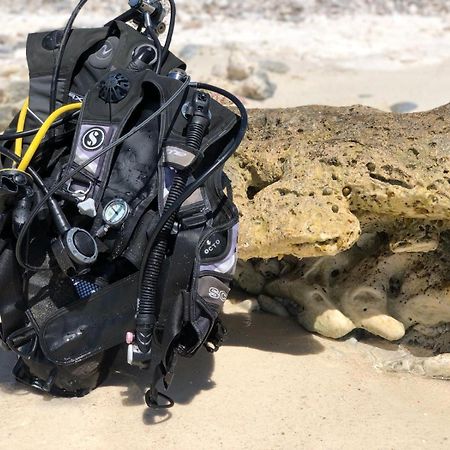 Tropical Divers Resort Kralendijk na wyspie Bonaire Zewnętrze zdjęcie