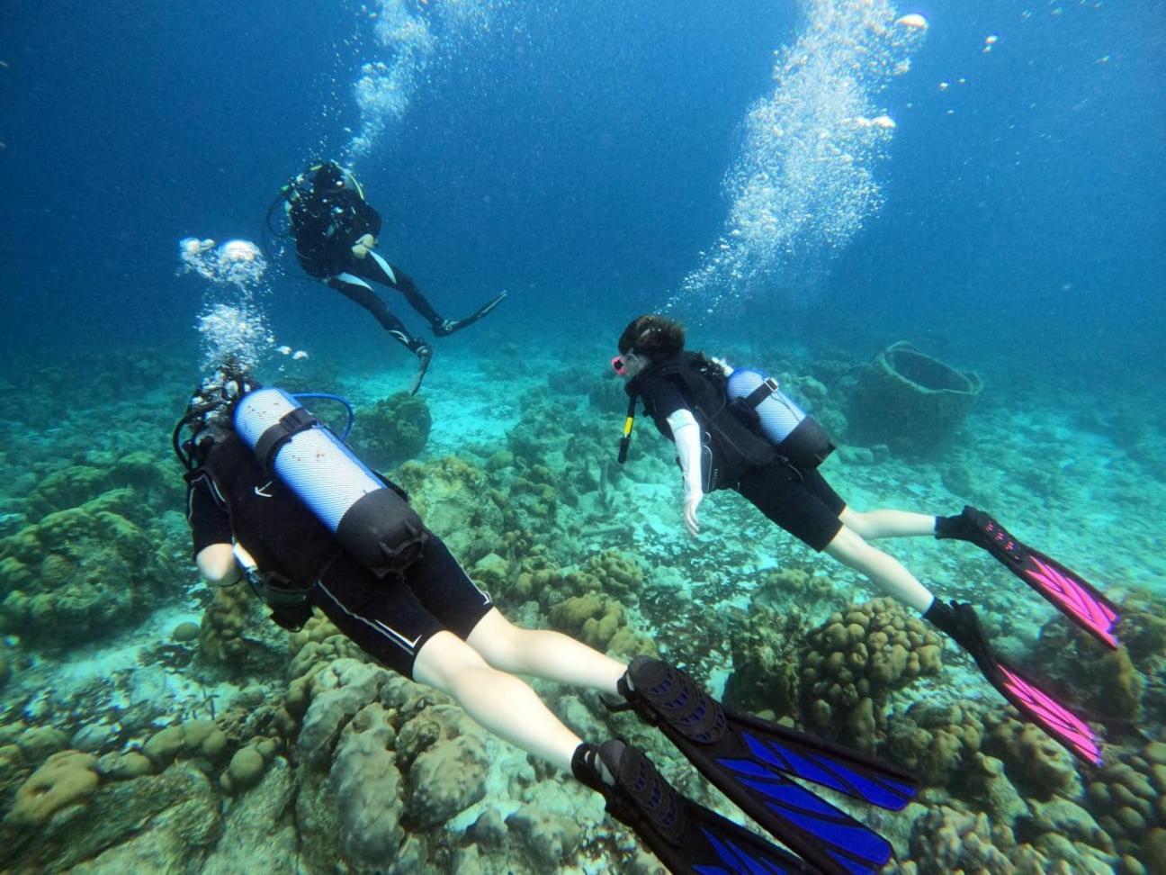 Tropical Divers Resort Kralendijk na wyspie Bonaire Zewnętrze zdjęcie