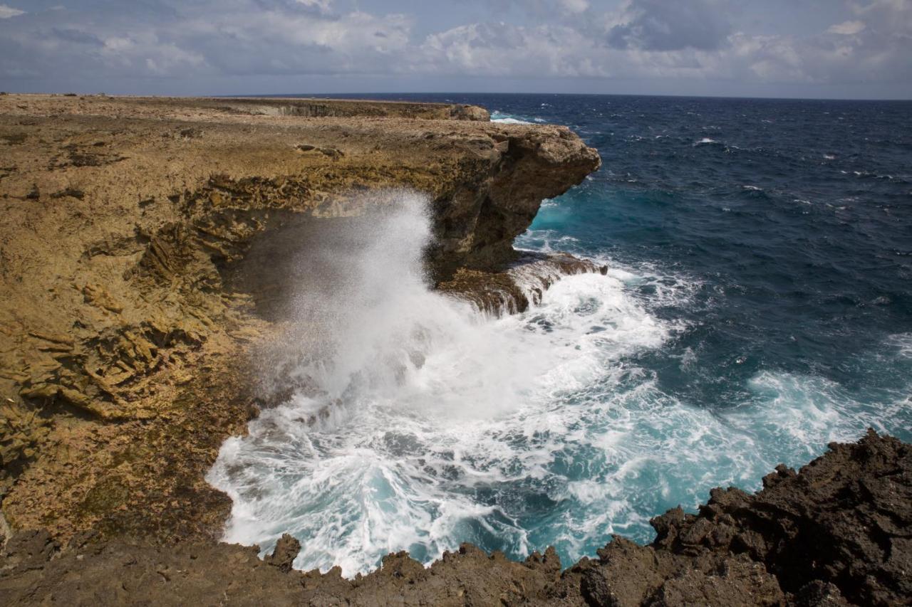 Tropical Divers Resort Kralendijk na wyspie Bonaire Zewnętrze zdjęcie